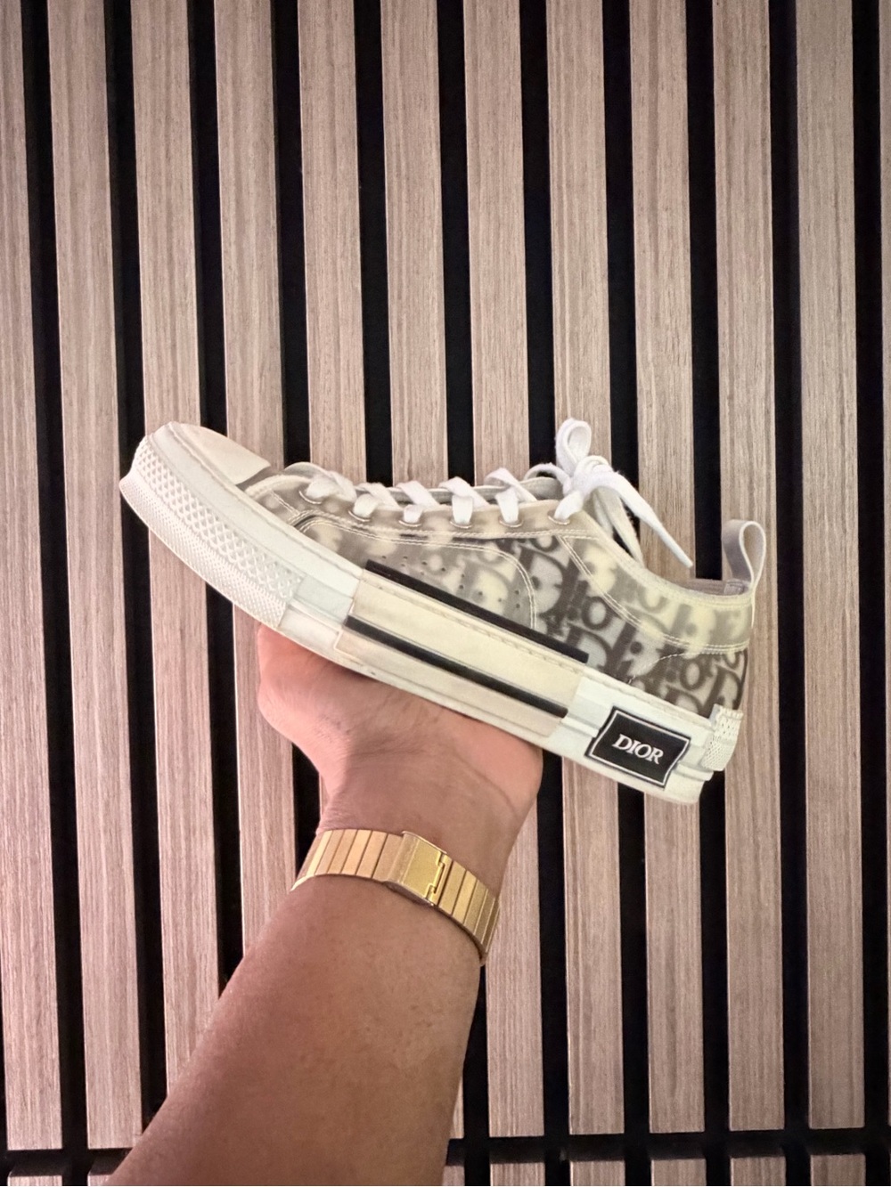 Dior Transparent Monogram Low-Top Sneaker in White and Beige